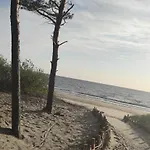 Pine Paradise Palanga-hill Garden