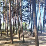 Pine Paradise Palanga-hill Garden Apartment