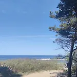 Pine Paradise Palanga-hill Garden Palanga