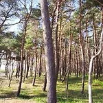 Apartment Pine Paradise Palanga-hill Garden Palanga