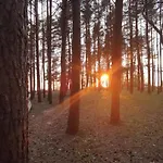 Pine Paradise Palanga-hill Garden * Palanga