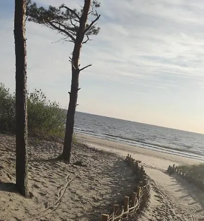 Pine Paradise Palanga-hill Garden