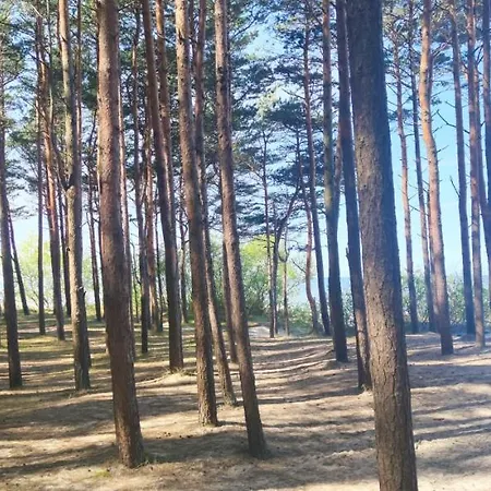 Pine Paradise Palanga-hill Garden 公寓