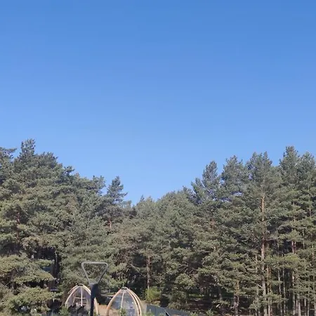 Pine Paradise Palanga-hill Garden *