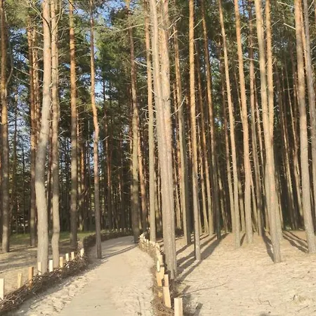 Pine Paradise Palanga-hill Garden * Połąga