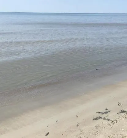 Pine Paradise Palanga-hill Garden Apartament