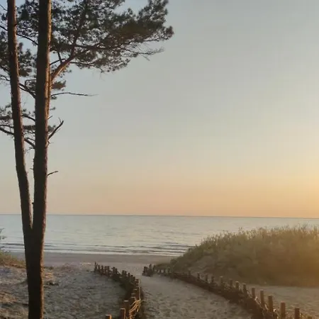 Pine Paradise Palanga-hill Garden *