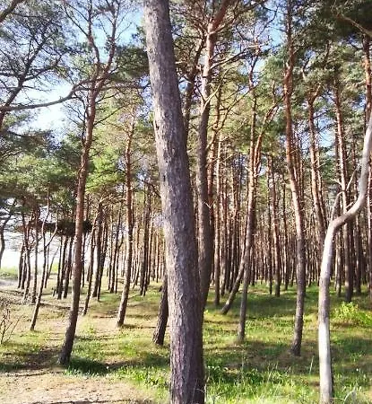 Apartament Pine Paradise Palanga-hill Garden Połąga