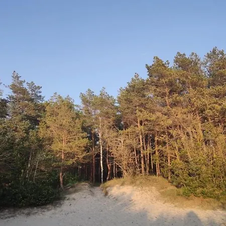 Pine Paradise Palanga-hill Garden Lejlighed