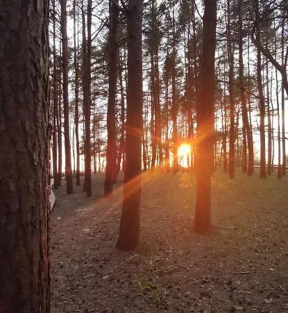 Pine Paradise Palanga-hill Garden * 帕兰加