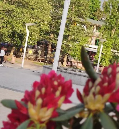 Pine Paradise Palanga-hill Garden *