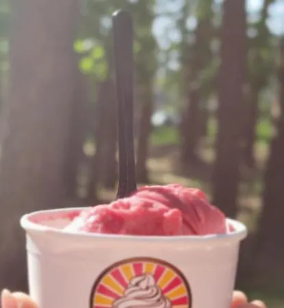 Pine Paradise Palanga-hill Garden Połąga