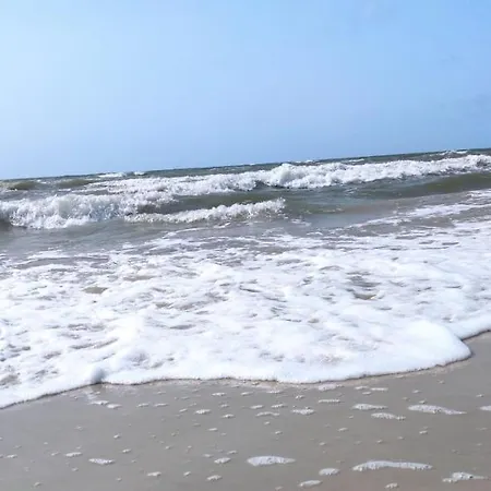 Pine Paradise Palanga-hill Garden Połąga