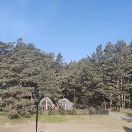 Lejlighed Pine Paradise Palanga-hill Garden