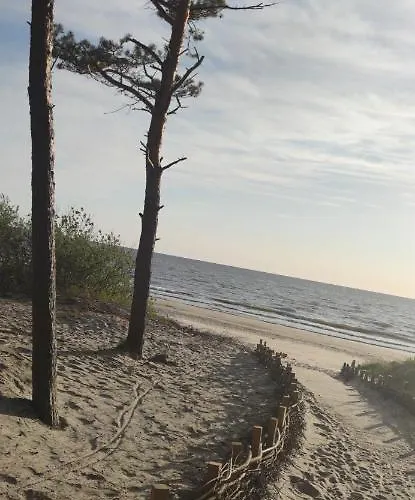 Pine Paradise Palanga-hill Garden