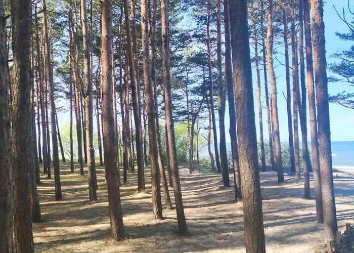 Pine Paradise Palanga-hill Garden Apartamento