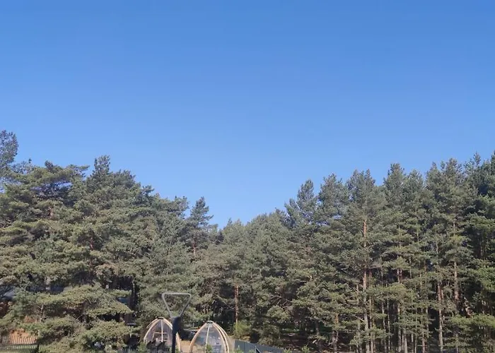 Pine Paradise Palanga-hill Garden *