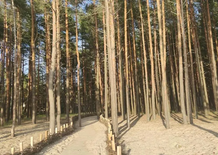 Pine Paradise Palanga-hill Garden * Palanga