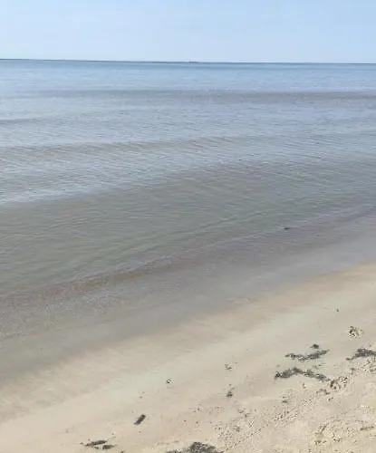 Pine Paradise Palanga-hill Garden Apartment