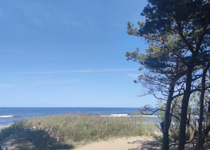 Pine Paradise Palanga-hill Garden Palanga