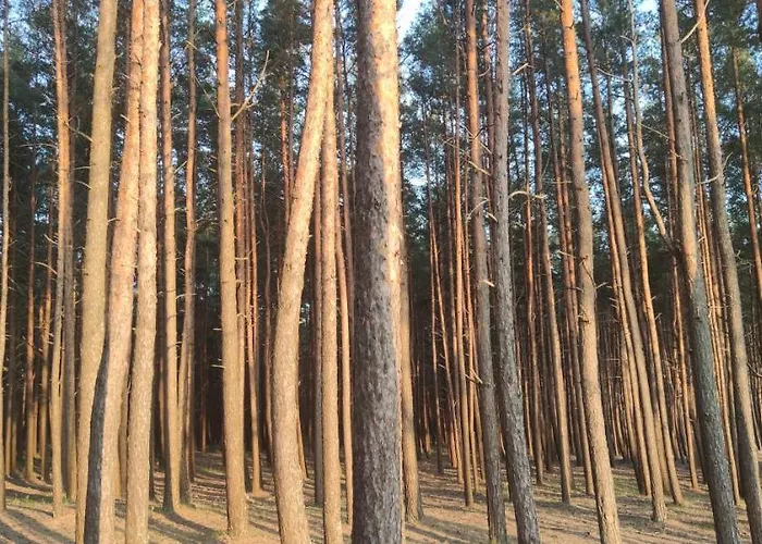 Appartement Pine Paradise Palanga-hill Garden *