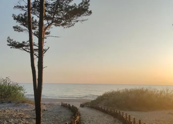 Pine Paradise Palanga-hill Garden *