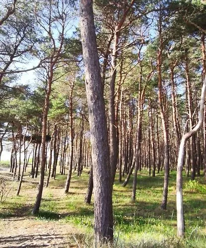 Apartment Pine Paradise Palanga-hill Garden Palanga