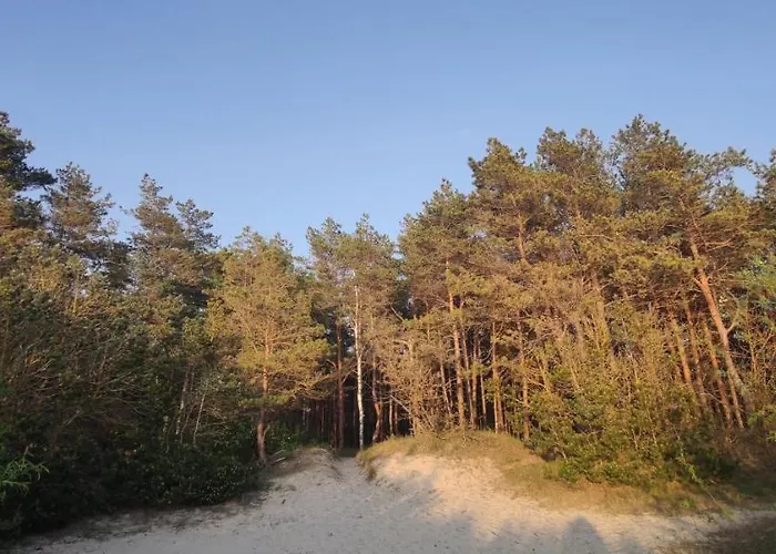 Pine Paradise Palanga-hill Garden Appartement