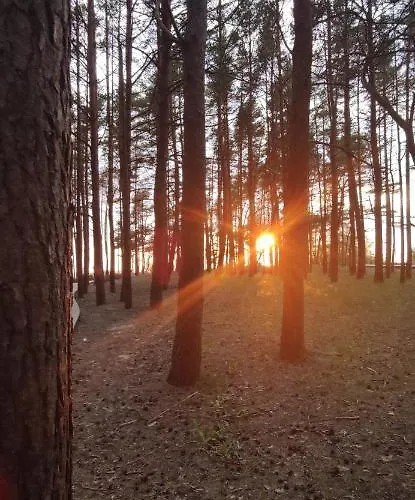 Pine Paradise Palanga-hill Garden * Palanga