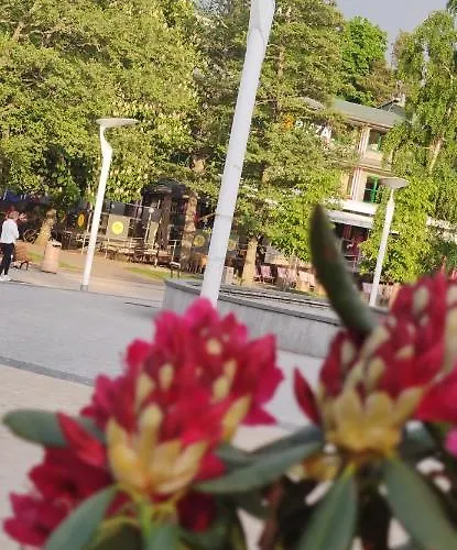 Pine Paradise Palanga-hill Garden *