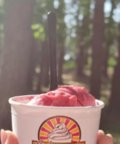 Pine Paradise Palanga-hill Garden Palanga