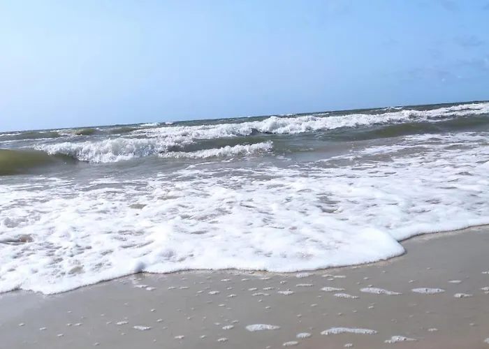 Pine Paradise Palanga-hill Garden Palanga