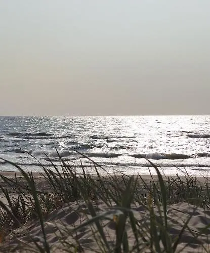 Appartement Pine Paradise Palanga-hill Garden